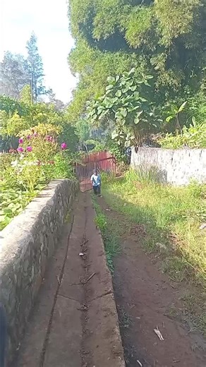 Dj M3llow mangi Goroka na em sa stp lo Komiufa🇧🇫🎄🥳apodux#fyppppp😁😁🇧🇫🇧🇫🇧🇫