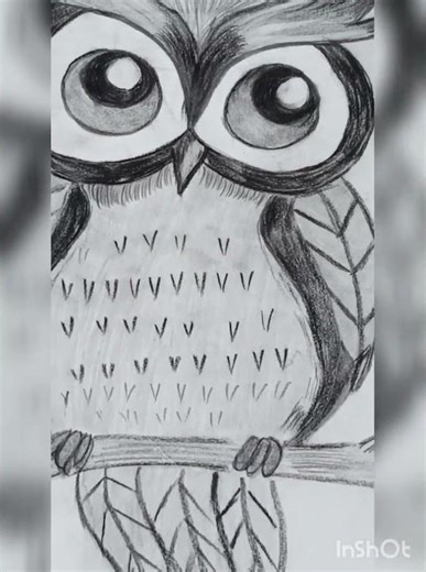 Owl sketching #trending #artistrycrafteria #drawing #new #painting #art #sketching