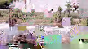 176K views · 673 reactions | Cypress Gardens NBC show | Cypress Gardens Treasure | Facebook