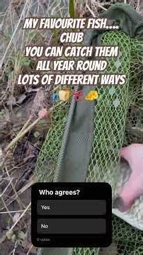 Chub fishing 🎣 any time of the year will do. #likesubscribe