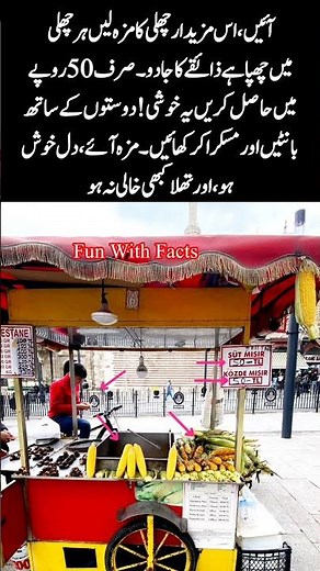 50 Chilly Treat #StreetFoodMagic#ChillyLovers#SnackTimeDelight #TastyBites