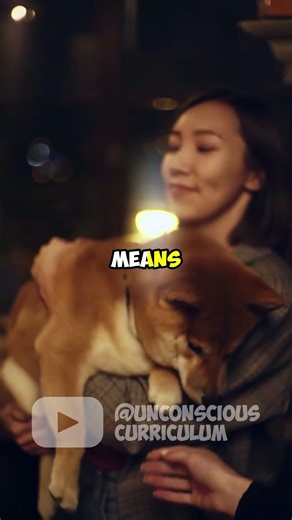 Did you know puppies' vision isn't fully developed until 14 weeks? 🐶👀 #Dogs #TopicFacts #Learning