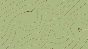 Wavy Red Lines Motion Graphic On Stock Footage Video (100% Royalty-free) 3432150779 | Shutterstock