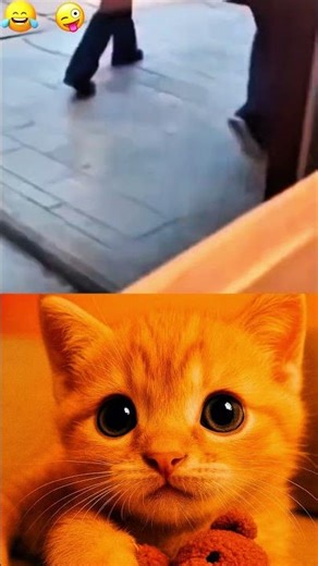 Watch your step hhhhh #memes #funnymemes #funnyvideo #funny #shortvideo