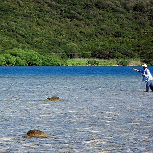 Watch Chubby Chernobyl Ant Golden Foam Body Trout Fly on Amazon Live