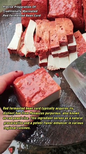 Precise Preparation Of Traditionally Marinated Red Fermented Bean Curd