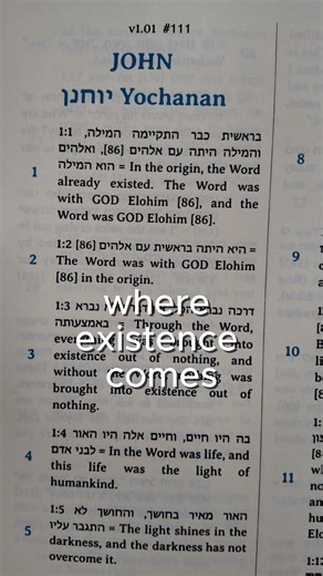 6.6K views · 109 reactions | Trust only the Original YESHUA Testament, the world's must authentic New Testament HOY.zone/BLESS | Original Bible Foundation & code2GOD | Facebook