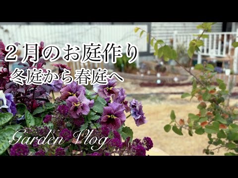 【ガーデニングVlog】２月のお庭作り／冬花壇を春らしくお手入れ／あじさいと沈丁花の花壇作り／ビオラ切り戻し／3つの春庭仕事