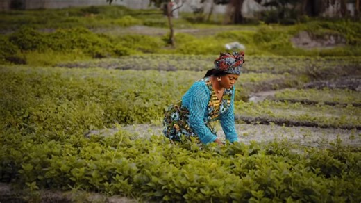 🚨 #NOUVEAUTÉ | La musique tradi-moderne congolaise accueille son dernier clip de l’année, « ITAMBI », signé Elveronne Ndinga officiel 🇨🇬 “La Diva”. Titre extrait de son dernier album en date. 🔗 Clip intégral : https://youtu.be/OOHNhAR2YeE?si=07B4wewQIM_mFNWX ______ | NZOLÉLÉ TV