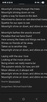 The Moonlight Song. Blaze Foley cover