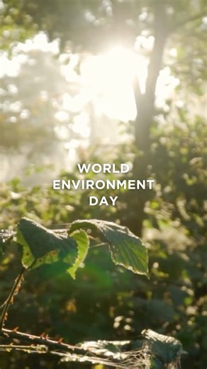 Our planet's diverse ecosystems are crucial for sustaining life, from the lush forests and vibrant oceans to the serene wetlands, rivers, and lakes. 🌿 These natural habitats provide vital resources, support countless species, and regulate our climate. Yet, they face unprecedented threats from deforestation, pollution, climate change, and overexploitation. Conserving these ecosystems is essential not only for their beauty and biodiversity but also for the future of humanity. 🌎 In honor of #Worl