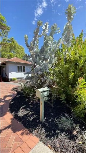 71 Canterbury Terrace, East Victoria Park