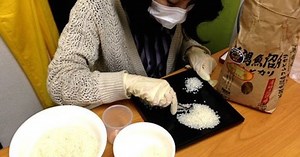 We examine, sort thousands of grains of rice to test manga-approved cooking method 【Video】