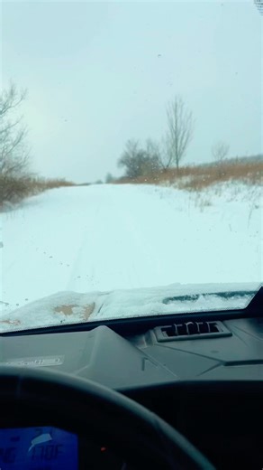 2019 Polaris General #shorts #polarisgeneral @flash22h