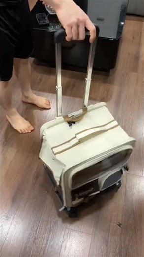 Travel in Style! Pet Trolley Backpack Test with Our Furry Trio #pettravel #petcarrier