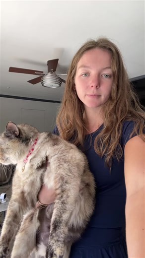 Chester's Fun Obstacle Course Adventure