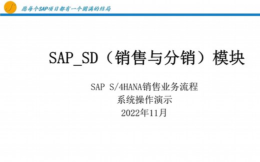 SAP系统演示_业务伙伴_客户主数据_BP