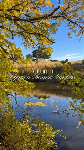 📍Kyneton Botanic Gardens #melbourne #autumn #vibe #travel #garden #fyp #capcut
