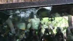 7.3K views · 301 reactions | Sign Language in USA  Subtitle:...