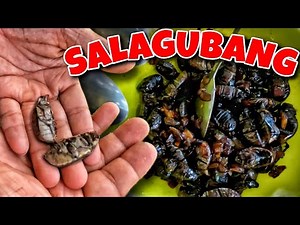 Panghuhuli ng Salagubang - EP1015