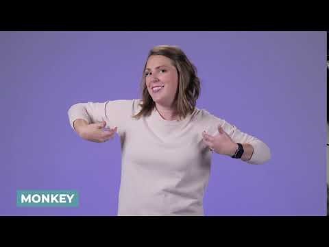Learn How to Sign Monkey in ASL | LearnHowToSign.org