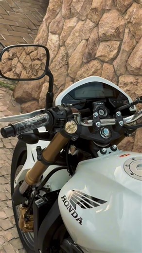 Descubre el Hornet 600: Características y Destacados