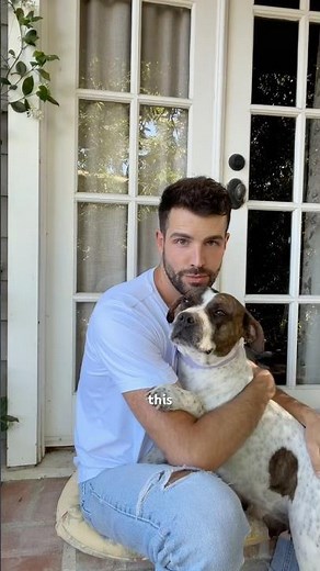 This Rescue Dog Needs Your Help 🤍