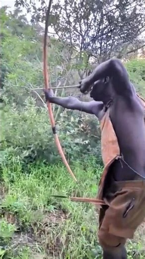 When the Hadza see a tiger in a tree#usa #funny #comedy #brasil #africa #indonesia