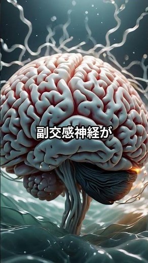10秒で全身の力が抜ける「筋弛緩法」の秘密。 #睡眠 #雑学 #美容 #改善睡眠品質