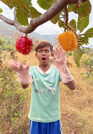 Survival in forest #bushcraft #camping #outdoors | bushcraft