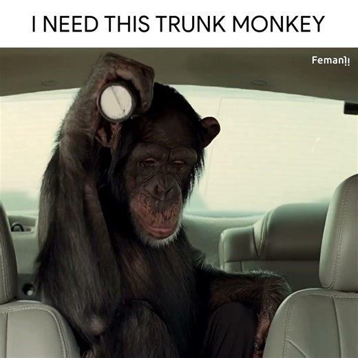 I need this trunk monkey 😂
