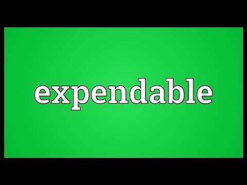 Expendable Meaning