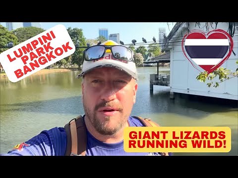Giant Lizards are RUNNING WILD in Lumpini Park, Bangkok!!!🇹🇭