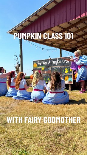 Pumpkin class 101: From Pumpkin to Carriage!🎃 In this class, we learned all about pumpkins and Fairy Godmother had us perfect our wave of the wand! Hopefully in next class, the pumpkin will turn into a carriage! 🙏🏼✨ #fairygodmother #southernhillfarms #princessmakeover #halloween #disney @Southern Hill Farms