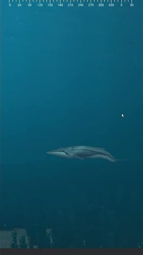 Sonar Contact Gone Wrong | Sea Power #shorts