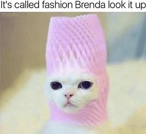 "It's Called Fashion Look It Up" | Know Your Meme