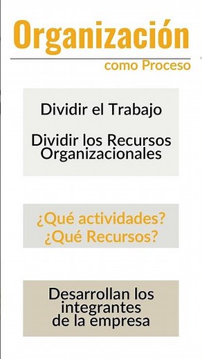 ¿Qué significa el proceso ORGANIZACIÓN?