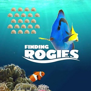 "Just keep swimming, just keep swimming…" | Mrs. T's Pierogies