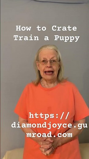 How to Crate Train a Puppy