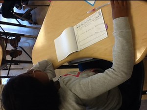 Components of Professional Practice