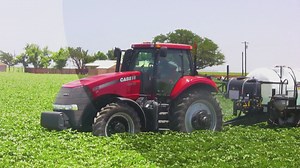 Texas Tech equine therapy is strengthening riders of all ages