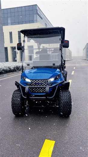 Exploring the Best Golf Carts on the Market