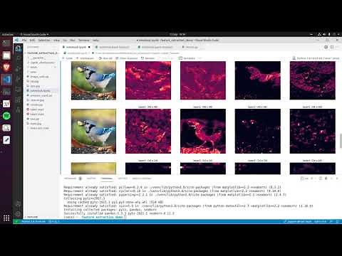 Feature Extraction With TorchVision's Newest Utility