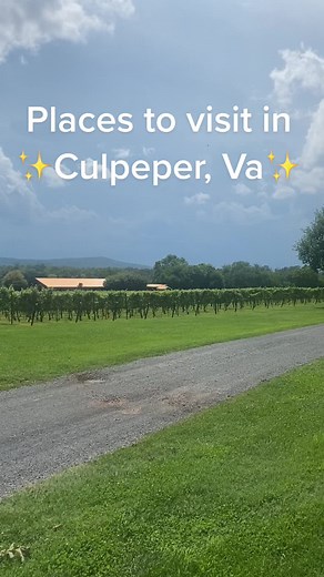 Explore Old House Vineyards in Culpeper, VA