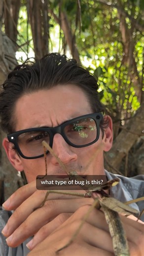 48 reactions · 8 comments | Look and learn with Meta AI ️ | Ray-Ban Meta | Facebook