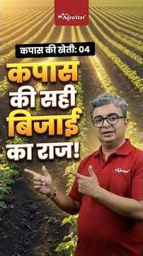 How to sow cotton correctly? I Cotton Sowing Method I AgroStar