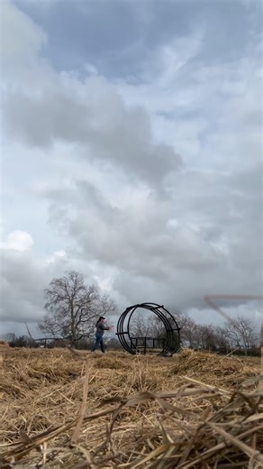 Good morning of putting out hay and bring the blue tractor home for a few days. | Williams Cattle