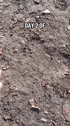 Earth Core Digging Day 2: Join the Journey!