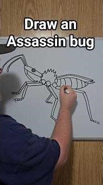 how to draw an assassin bug