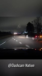 11K views · 69 reactions | "Car rolls right through a stop sign and...